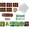 Carton de 30 sachets de graines de légumes bio