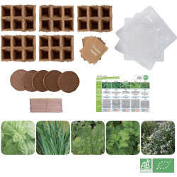 Carton de 30 sachets de graines aromates bio