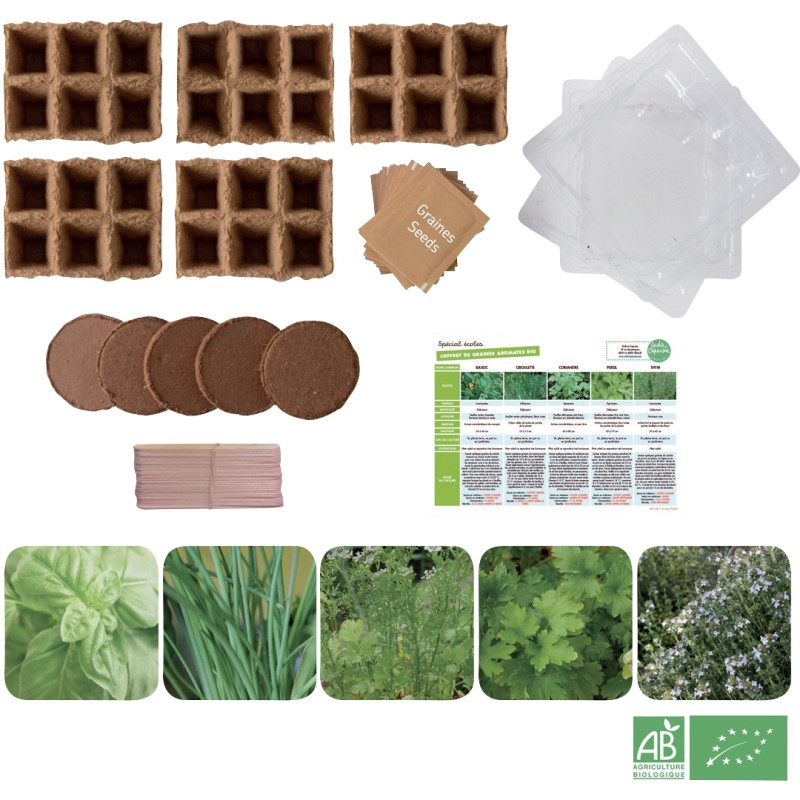 Carton de 30 sachets de graines aromates bio