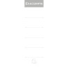 Paquet de 10 étiquettes cartonnées pour classeurs à levier dos large