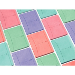 Carnet 160 pages SIGNATURE format A5, ligné 6 mm, coloris pastel assor