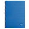 Cahier à reliure intégrale 180 pages LINICOLOR INTENSIVE, format A4, q