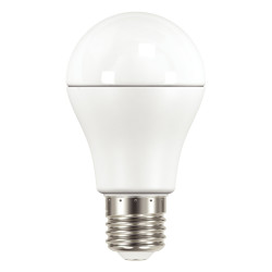 Ampoule LED E27 haute performance 10,5W