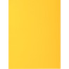 Paquet de 50 chemises 2 rabats ROCK"S 210g, format 24x32 cm, jaune