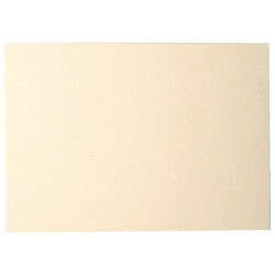 Paquet de 25 cartes Pollen 110x155mm 210g ivoire
