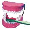 La bouche - les dents avec brosse à dents