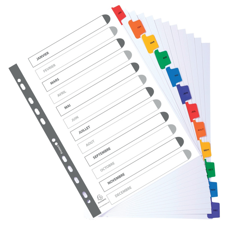 Jeu de 12 intercalaires mensuels en carte Mylar, format A4