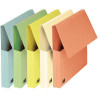 Paquet de 50 pochettes VIP à rabat, format 24x32 cm, coloris pastel as