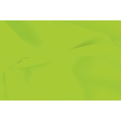 Paquet de 240 feuilles de papier de soie 75x50cm Vert