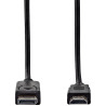 Cable DisplayPort 1,2 vers HDMI 2m