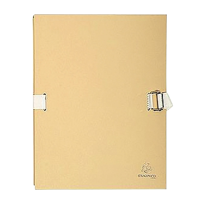 Paquet de 5 chemises extensibles toilées, assortis