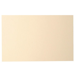 Paquet de 25 cartes Pollen 82x128mm 210g ivoire