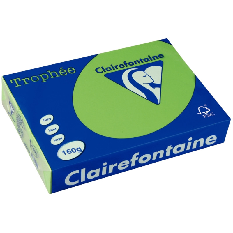 Paquet de 250 feuilles format A3 160g vert menthe CLAIREFONTAINE