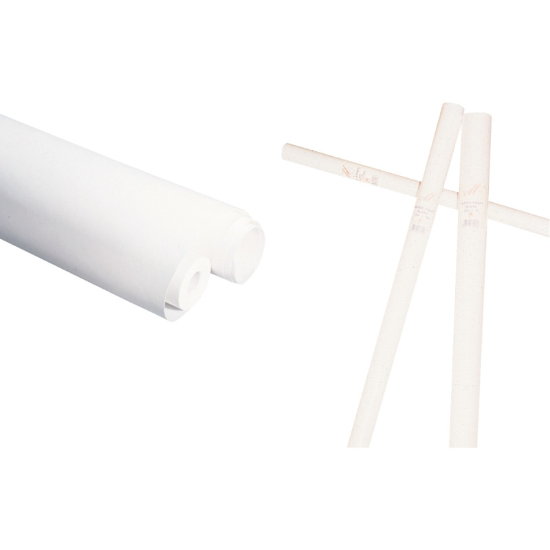 Rouleau de papier kraft 65g 3x0,70m blanc