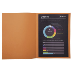 Paquet de 100 sous-chemises ROCK''S 80 - 22x31cm
