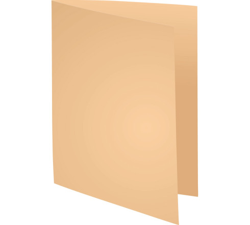 Paquet de 250 sous-chemises SUPER 60 - 22x31cm