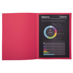 Paquet de 50 chemises ROCK''S 210 - 24x32cm