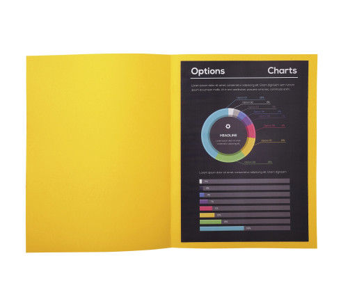 Paquet de 50 chemises ROCK''S 210 - 24x32cm
