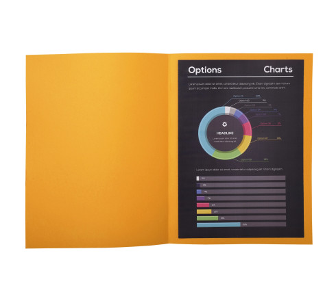 Paquet de 50 chemises ROCK''S 210 - 24x32cm