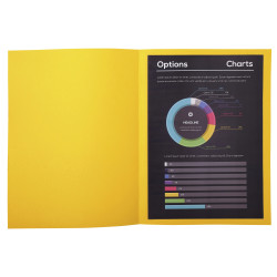 Paquet de 10 chemises ROCK''S 210 - 24x32cm