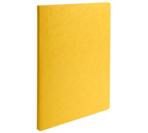 Paquet de 25 Chemises Lustro-Carte 225gm2 - 24x32cm