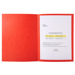 Paquet de 25 Chemises Lustro-Carte 225gm2 - 24x32cm