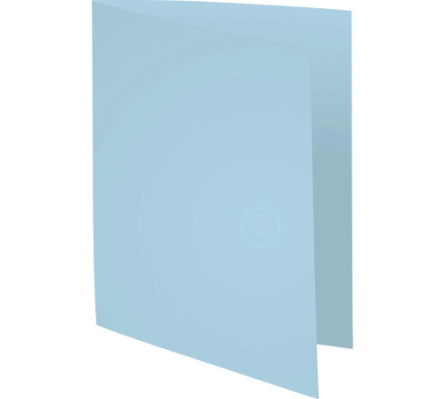 Paquet de 100 chemises Forever® 220 100% recyclé - 24x32cm