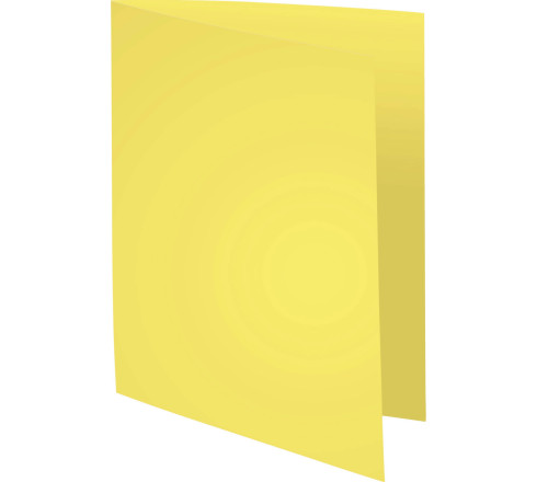 Paquet de 100 chemises Forever® 220 100% recyclé - 24x32cm