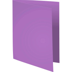 Paquet de 100 chemises Forever® 220 100% recyclé - 24x32cm