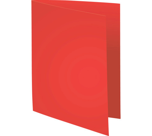 Paquet de 100 chemises Forever® 220 100% recyclé - 24x32cm