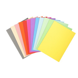 Paquet de 100 chemises Forever® 220 100% recyclé - 24x32cm