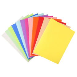 Paquet de 100 chemises Forever® 220 100% recyclé - 24x32cm