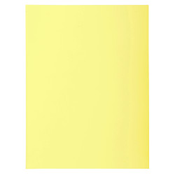 Paquet de 5 chemises 2 rabats SUPER 210 - 24x32cm