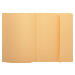 Paquet de 50 chemises 1 rabat SUPER 210 - 24x32cm
