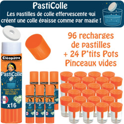 6 STICK PASTI COLLE x 16 + 24 POTS VIDE