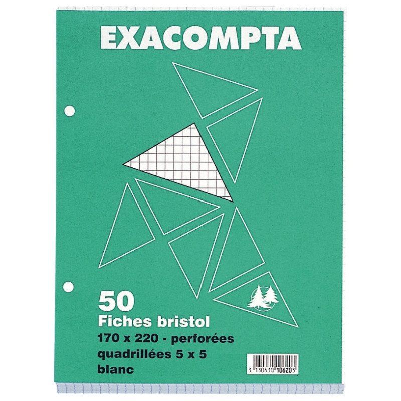 Paquet de 50 fiches bristol perforées carte forte 205 g blanc quadrill