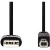 Cordon USB 2.0 type A mâle vers type B mâle 2m noir