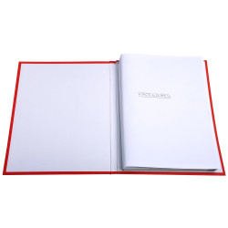 Paquet de 100 cotes de plaidoiries 22x31cm