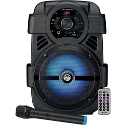 Enceinte portable 400W