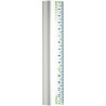 Blister règle plate 15cm en alu anodisé