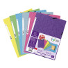 Lot de 5+1 chemises en carte lustrée 400g/m2 - A4