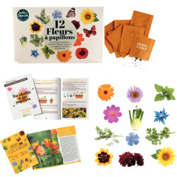 Kit des abeilles et des fleurs