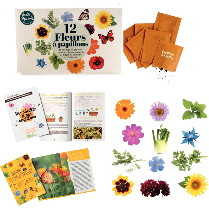 Kit des abeilles et des fleurs