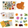 Kit des abeilles et des fleurs