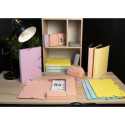 Boite de classement Cartobox livrée à plat Dos 40mm carte lustrée Aquarel - A4