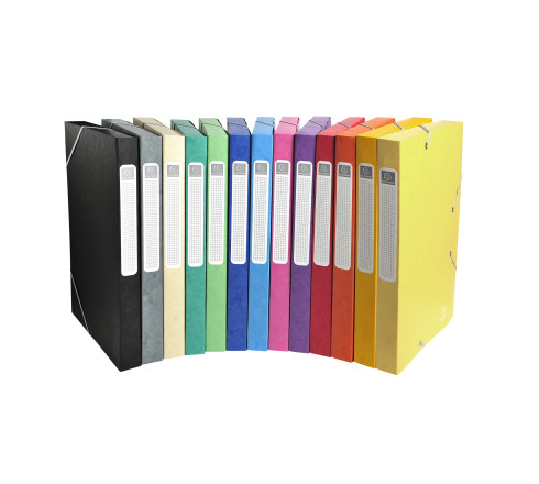 Boite de classement Cartobox Dos 25mm Carte lustrée - A4