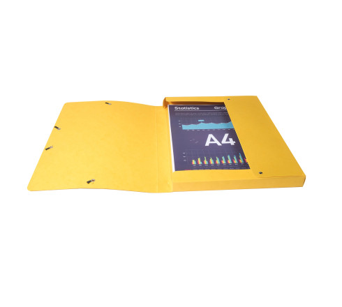 Boite de classement Exabox Dos 25mm Carte lustrée - A4