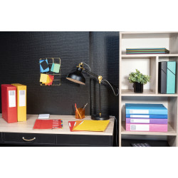 Boite de classement Exabox Dos 40mm Carte lustrée - A4
