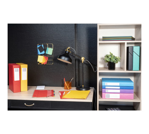 Boite de classement Exabox Dos 40mm Carte lustrée - A4
