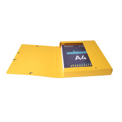 Boite de classement Exabox Dos 40mm Carte lustrée Scotten - A4